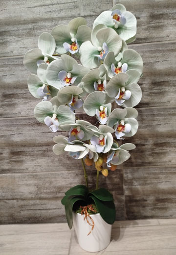 Dekorációs kiegészítők Kép