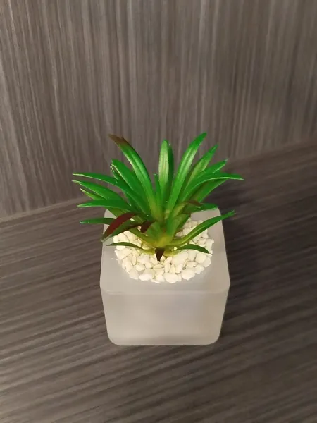 0a022fba-0fa7-466d-85c4-6ced84d94693