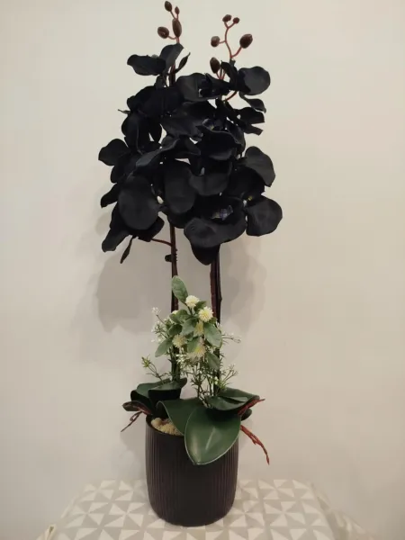 0b21417a-93f3-4b4a-96c9-8e4bbc5e3c09