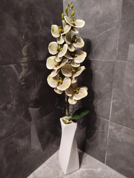 2e394cff-f396-4e8b-a32e-0aa093b2885e