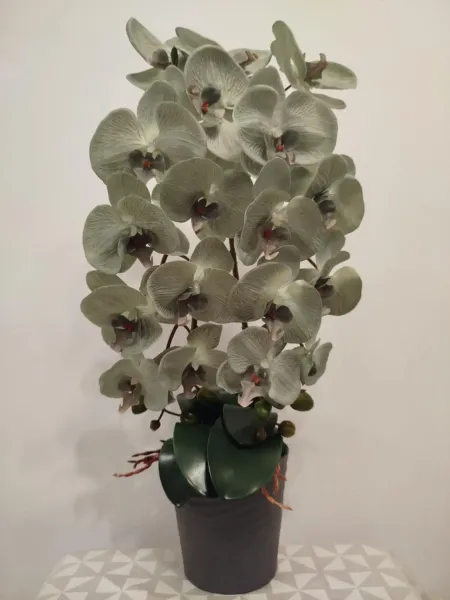 4031bd30-0ce3-4559-9fe6-a447cdbe37d1