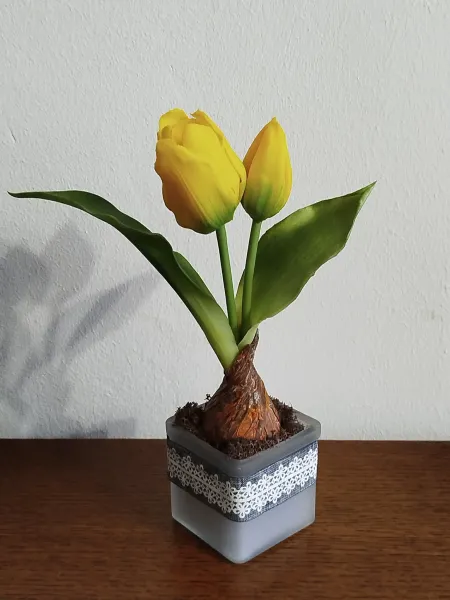 58929381-fe4f-487b-904b-20f2b8d59202