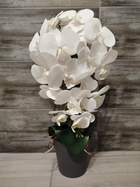 66ab5f1d-9ce4-4e7d-b8d8-7b0a9b4f67f7