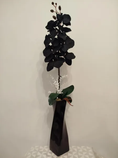 66e4a4b3-9b3f-4378-8a02-1cd5062bec17