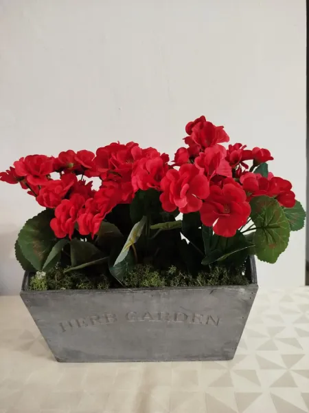 7ecd3bb1-a5b3-4d54-9995-e188b0dde124 (1)