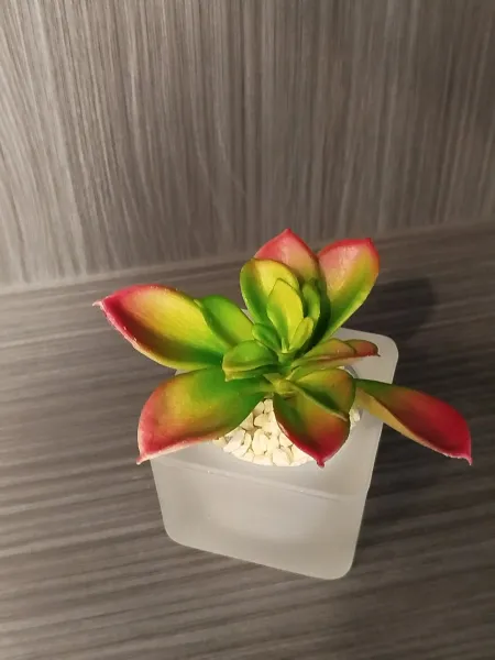 89d0d316-bbab-41d8-9d9d-5e05162408b0