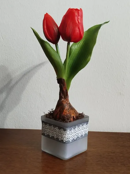 904a41d0-de69-40d1-bf2d-6694bd5a8d58