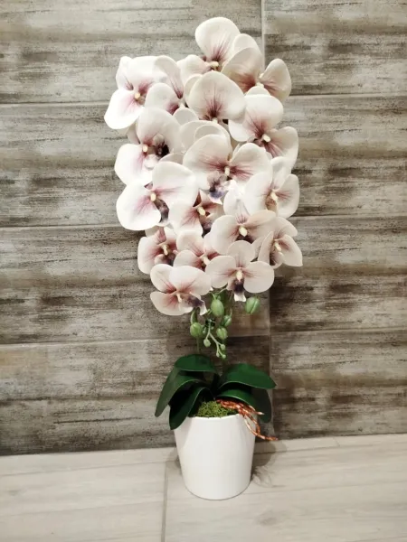 a4ba97d0-8737-44c8-850b-bff533a92ae4