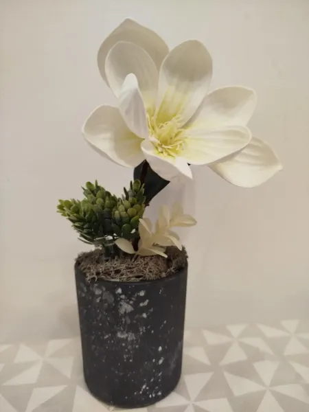 a7b282f4-f854-4ad2-8b8c-951a6b4ceb83 (1)