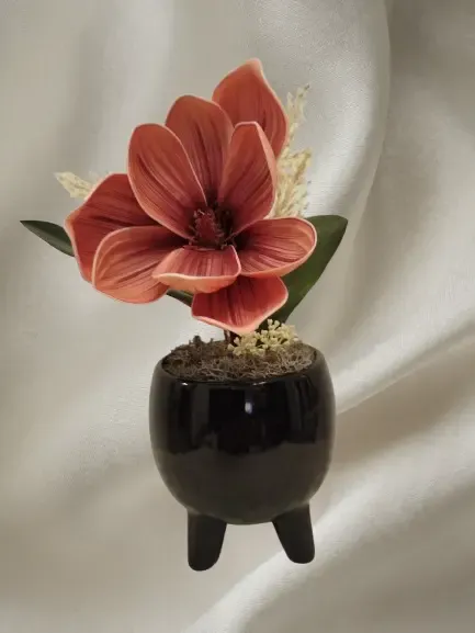 IMG_20250715_174415-removebg-preview