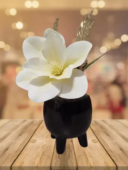 IMG_20250715_174646-removebg-preview