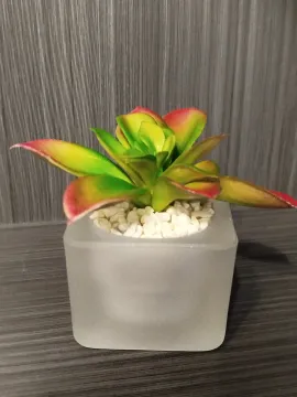 1406abac-ca78-4aac-b435-b067dfb42ca3