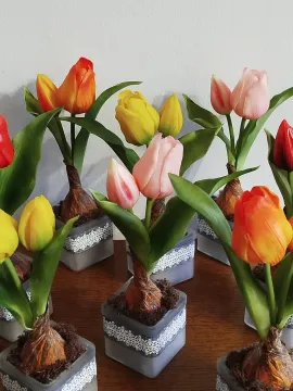 16301790-2448-4e60-900e-e6093b203bff