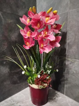Rózsaszín cymbidium orchidea, bordó kaspóban