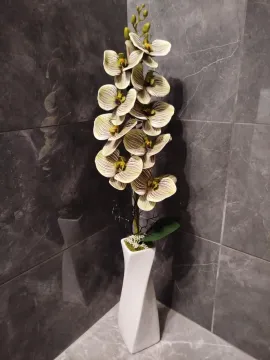 Prémium zöld csíkos orchidea, fehér csavart vázában