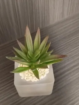 Egyedi, kézzel készült szukkulens dekoráció