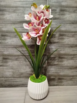 Rózsaszín cymbidium orchidea, fehér kaspóban