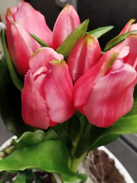 3d7ea0bd-a9bf-40be-8c42-87983032198b