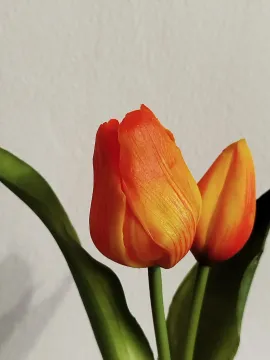 55074471-47f4-41aa-a32e-96bd5de6165a