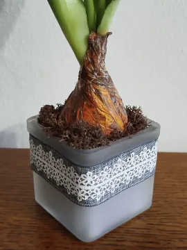 5ce379fa-24b4-41ed-82c2-d4dad4d3eb94