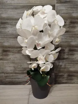 Fehér orchidea szürke kaspóban