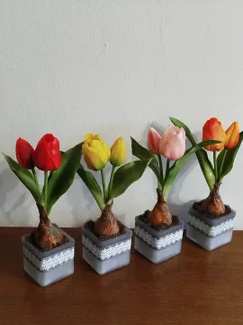 6eb08c2e-2e2d-45a0-ad34-8a4cf0fc7351