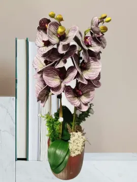 Lila orchidea, barna kaspóban