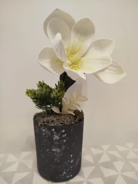 Fehér magnólia, márványos kaspóban