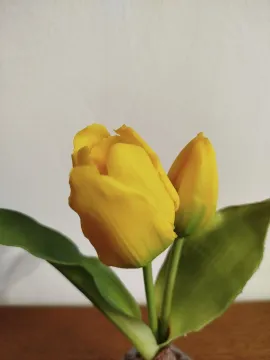 bbefa370-1ea8-417c-9c2b-8088a90064b7