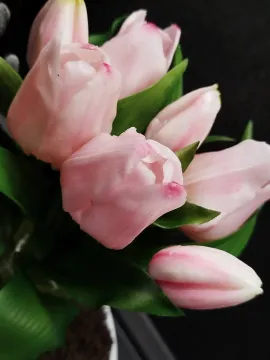 bfcc129d-2dc3-4eda-a785-435a39bcddb6