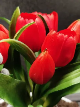 c5eb6967-3d0c-4a76-8e7d-1254d0b5fbda