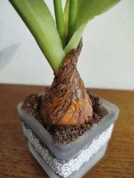 c958d30c-62b7-4991-aa66-992fbad1f598