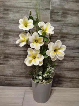 Sárgásfehér magnólia, szürke kaspóban