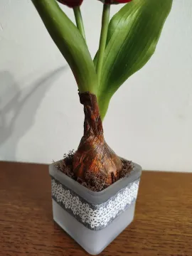 d82816b7-fe6d-43ff-927d-c923c00f91dc